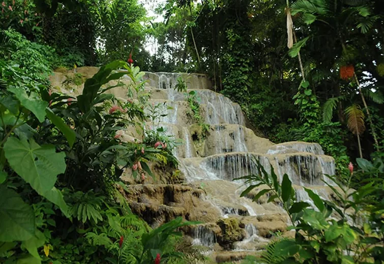 Konoko Falls and Tropical Gardens
